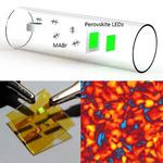 The Power of Perovskite