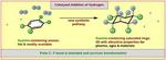 Chemists of the University of Münster develope a new method for the formation of fluorinated molecular rings