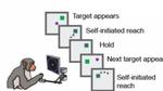 How Machine Learning Is Helping Neuroscientists Crack Our Neural Code