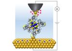 Single Molecules Can Work as Reproducible Transistors—at Room Temperature