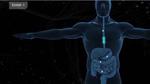 20,000 Leagues Into Your Bowels: How GPUs Are Helping to Diagnose Gastrointestinal Anomalies