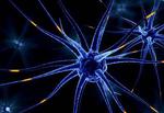 ‘Seeing’ robot learns tricky technique for studying brain cells in mammals