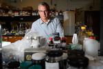 Synthesizing Pure Graphene, a ‘Miracle Material’
