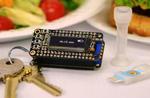 Keychain detector could catch food allergens before it’s too late