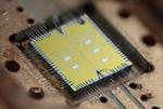 Quantum Computation to Tackle Fundamental Science Problems