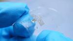 Biodegradable microsensors for food monitoring