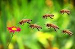 Introducing a new robotic class with abilities out-performing existing machines or even biological organisms