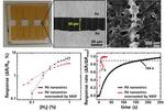 Ultra-Fast and Ultra-Sensitive Hydrogen Sensor