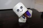 Billy the Biped Robot - 3D Printed