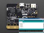Micro:bit with Arduino
