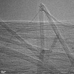 Long nanotubes make strong fibers