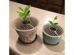 Plant Pot Lid