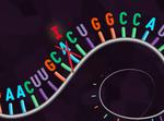Researchers engineer CRISPR to edit single RNA letters in human cells