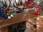 Remote Arduino Control with Telegram Bot