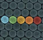 Synthetic material acts like an insect cloaking device