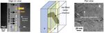 Channeling helium: Researchers take next step toward fusion energy