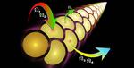 Developing “ABCs” for Exploiting New Phenomena in Light-Matter Interactions