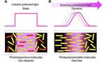 Photopolymerization-triggered molecular motion for flexible liquid crystal display