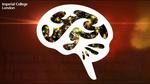 New way to write magnetic info could pave the way for hardware neural networks