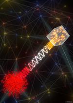 Quantum Internet goes Hybrid