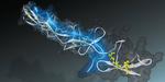 Nano-sensor measures tension of tissue fibres