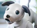 Sony’s Aibo robot dog is back, gives us OLED puppy dog eyes