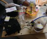 IoT Food Feeder for Animals