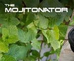 Mojitonator - Easy, Cheap, Small Hydroponic System