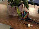 Smart plant alerts using nio, Raspberry Pi, and Twitter