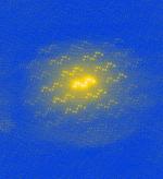A space-time sensor for light-matter interactions