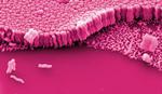 Creating a new kind of metallic glass