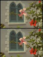 New Algorithm Repairs Corrupted Digital Images in One Step