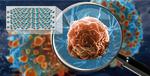 Hyperlens crystal capable of viewing living cells in unprecedented detail