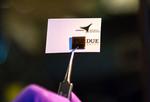 ‘Quantum material’ has shark-like ability to detect small electrical signals