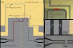 Quantum coupling