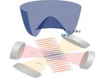 Real-time observation of collective quantum modes