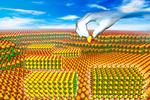 Atomically Thin Perovskites Boost for Future Electronics