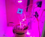 IKEA Smart Plant