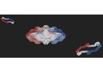 Leaving Flatland - Quantum Hall Physics in 4D