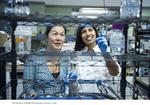Optimizing carbon nanotube electrodes