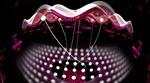 Neural networks take on quantum entanglement