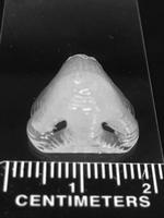 3-D printing improves cell adhesion and strength of PDMS polymer