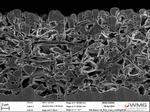 Adding graphene girders to silicon electrodes could double the life of lithium batteries
