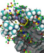 Coupling Experiments to Theory to Build a Better Battery