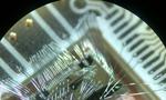 Quantum race accelerates development of silicon quantum chip