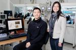 Shape-shifting organic crystals use memory to improve plastic electronics