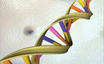 Breakthrough leads to sequencing of a human genome using a pocket-sized device