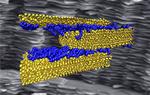 Weak hydrogen bonds key to strong, tough infrastructure