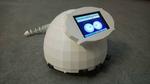 Eggy, (scientific) Social Signal Pi Robot