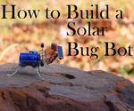 Make A Solar Powered Bug Robot